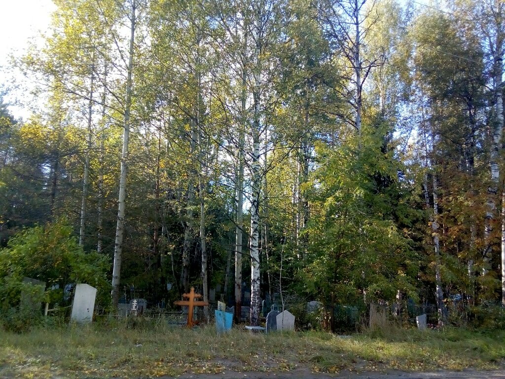 Cemetery Окуловское кладбище, Perm, photo