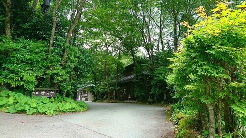 Гостиница Kurokawa Onsen Ryokan Ichinoi