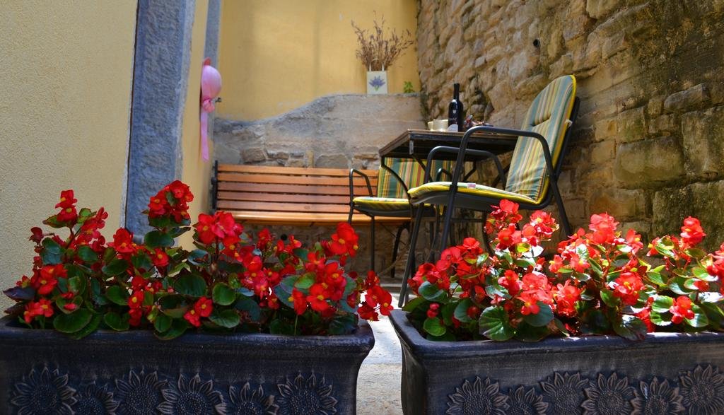 Фото Bella Vista Apartments