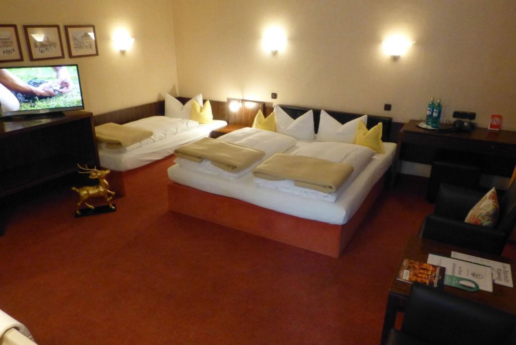 Фото Hotel Goldener Hirsch