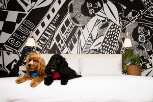 Гостиница Radisson Red Cape Town V&A Waterfront