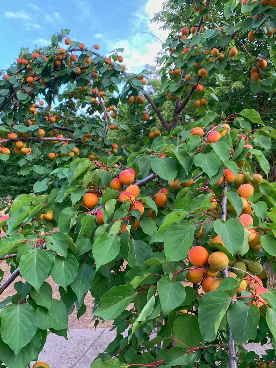 Фото Место Встречи