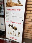 Зоомагазин (rabochiy posyolok Tuchkovo, mikrorayon Vostochny, 1А), pet shop