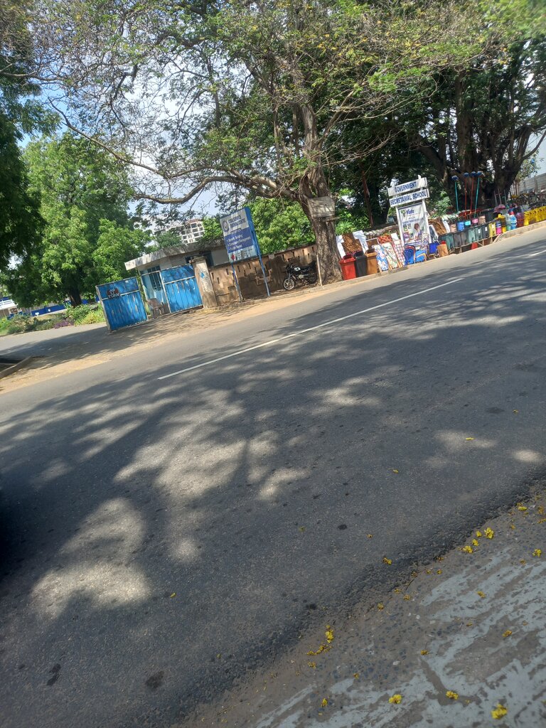 School Government Secretarial School, Earth, photo