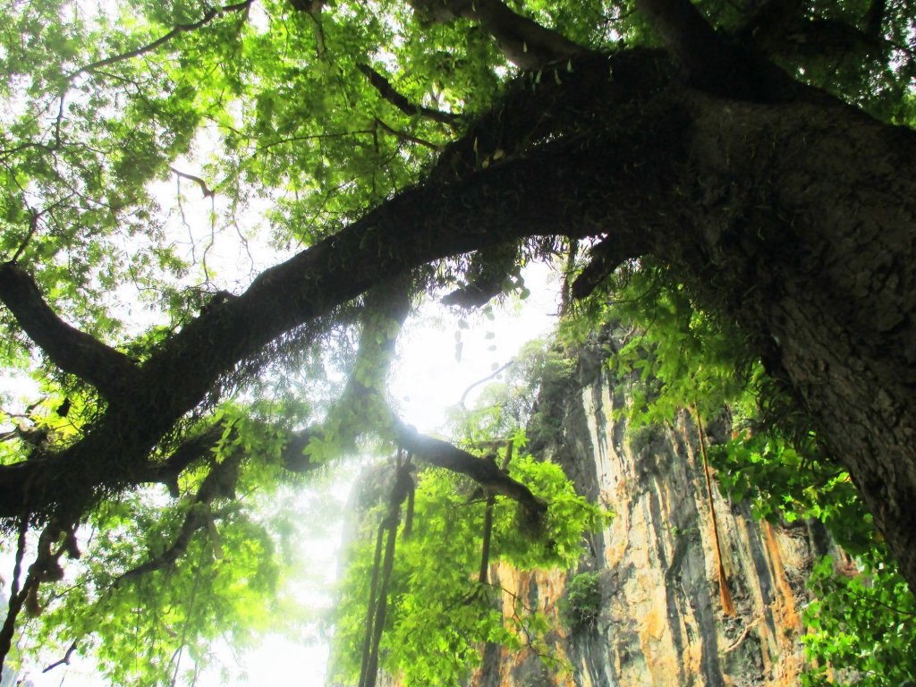 Фото Happiness Resort