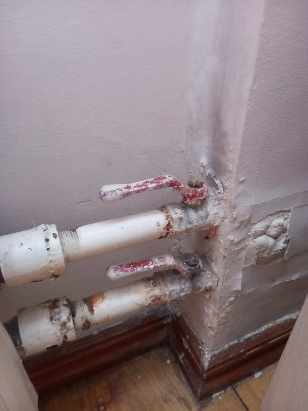 Фото Дружба