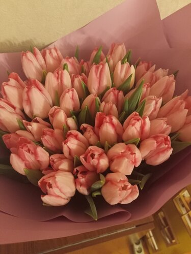 Жылдың ең жақсы порносы