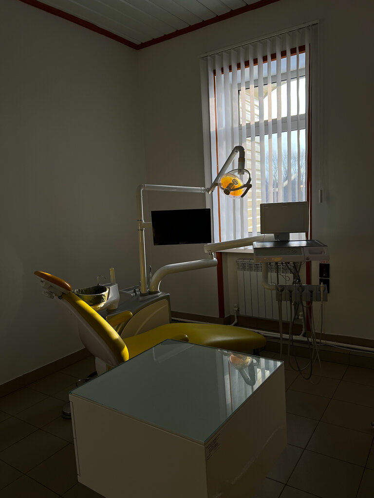 Стоматологическая клиника Авторская стоматология Dr. Bliznyakov, Республика Мордовия, фото