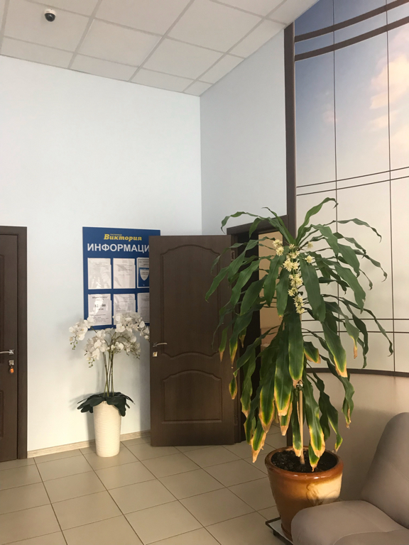 Фото Виктория