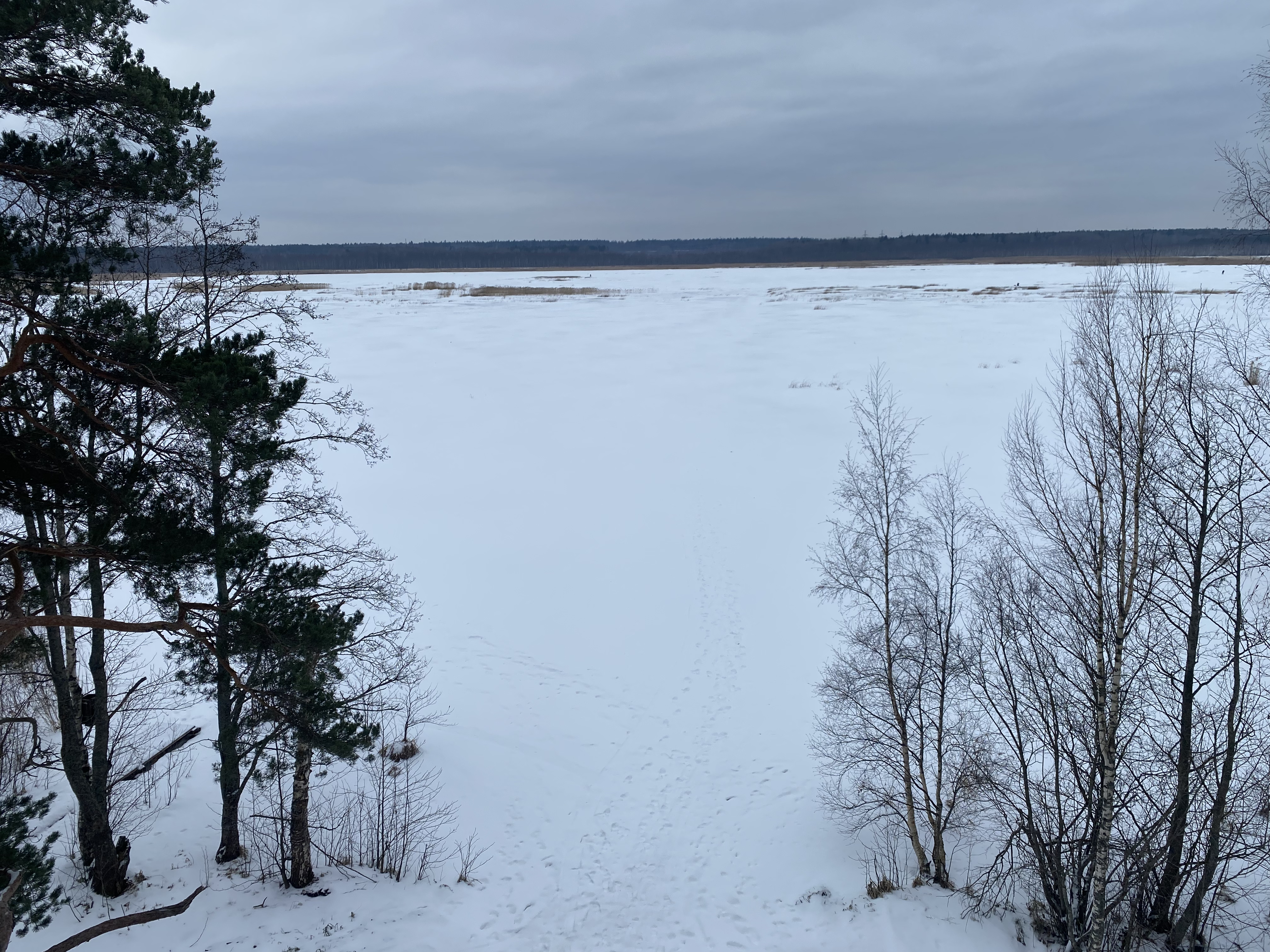 Фото Ёlki в Правдинское озеро