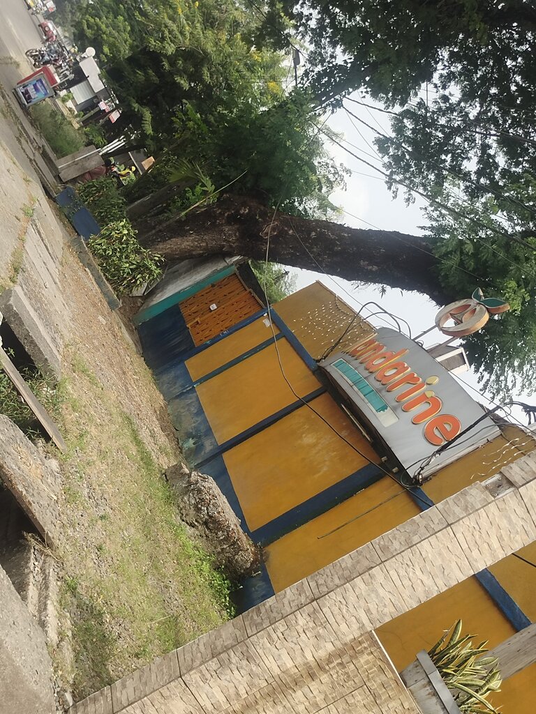 Hookah lounge Mandarine, Douala, photo