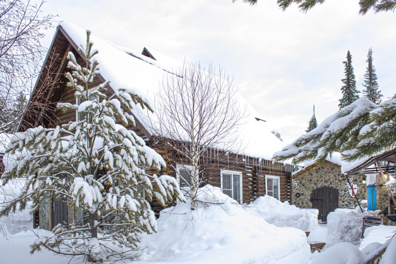 Фото Золотая сова