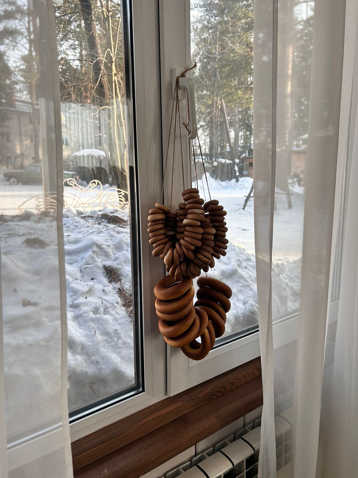 Фото Академия