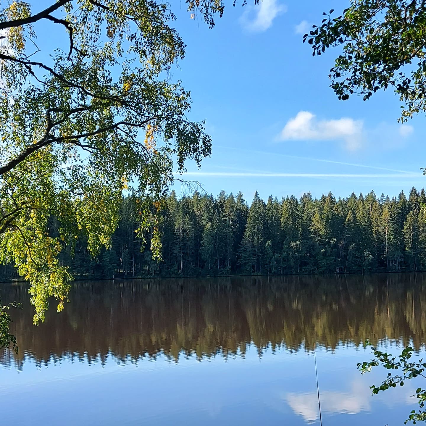 Фото Лавалла Хутор