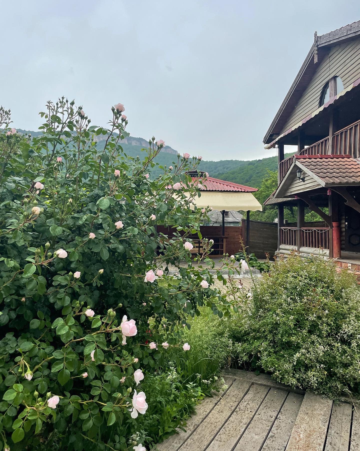 Фото Эколодж