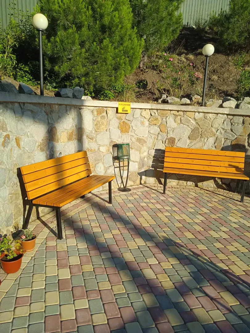 Фото Дельфин