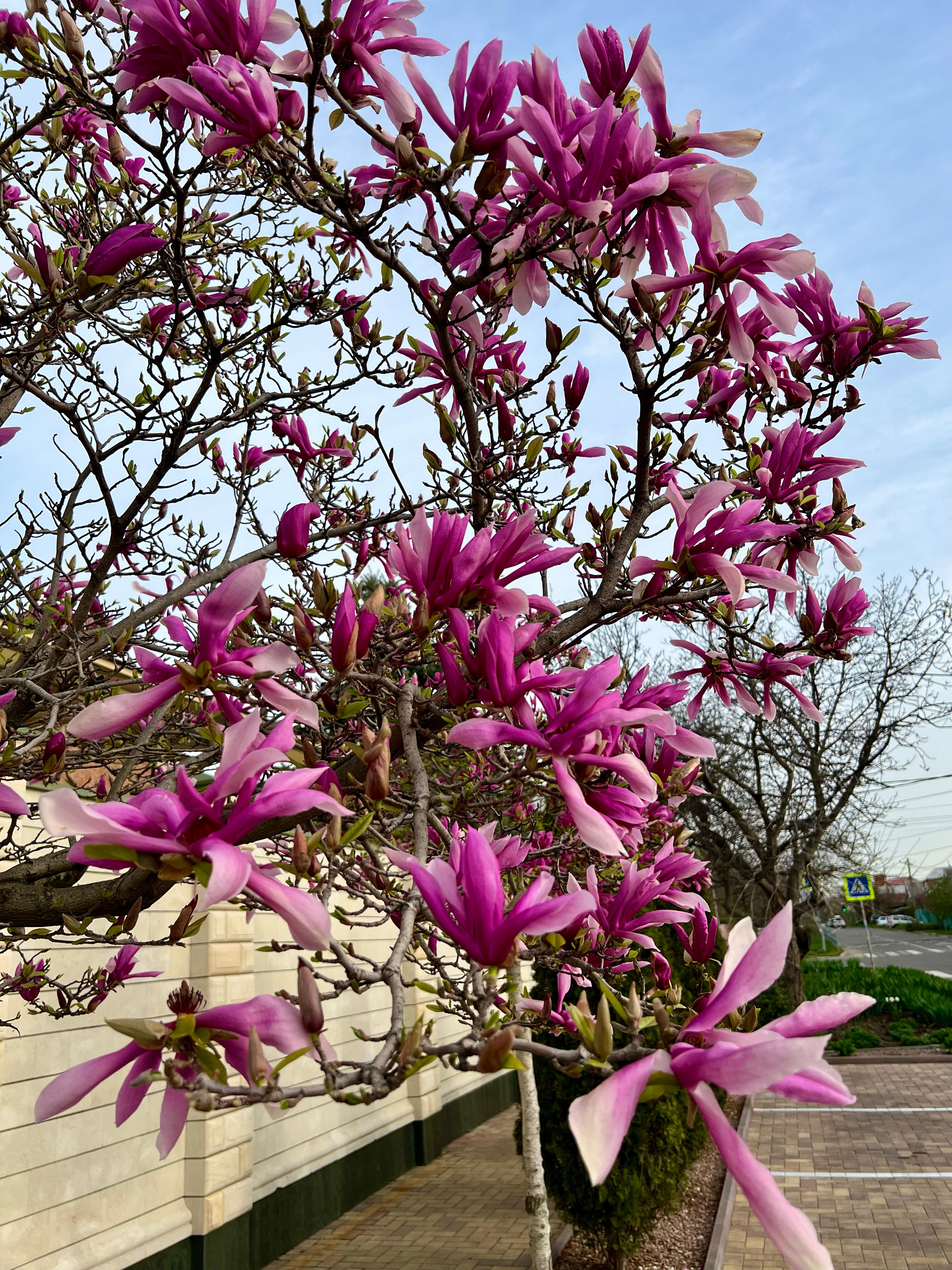 Фото Villa Marina