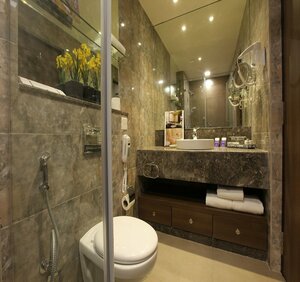 Гостиница The Peerless Inn - Kolkata