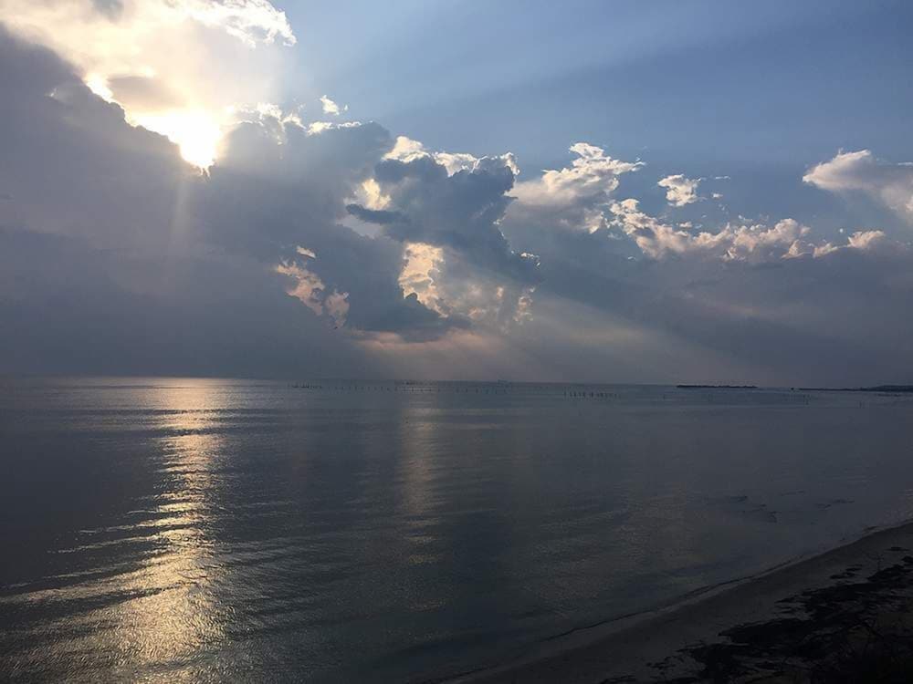 Фото The Baywood Bed & Breakfast