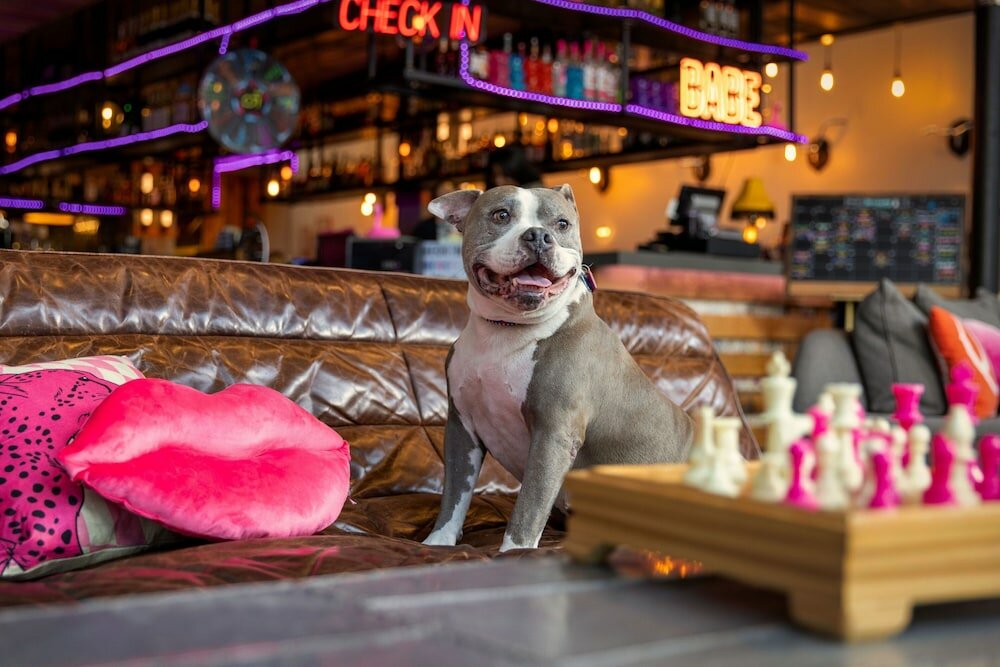 Фото Moxy Washington Dc Downtown