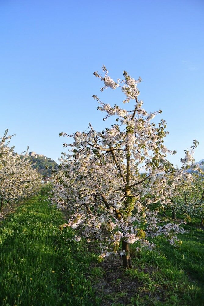 Фото Agriturismo Bortolotti