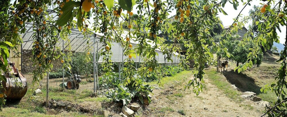 Фото Fattoria Giunasco