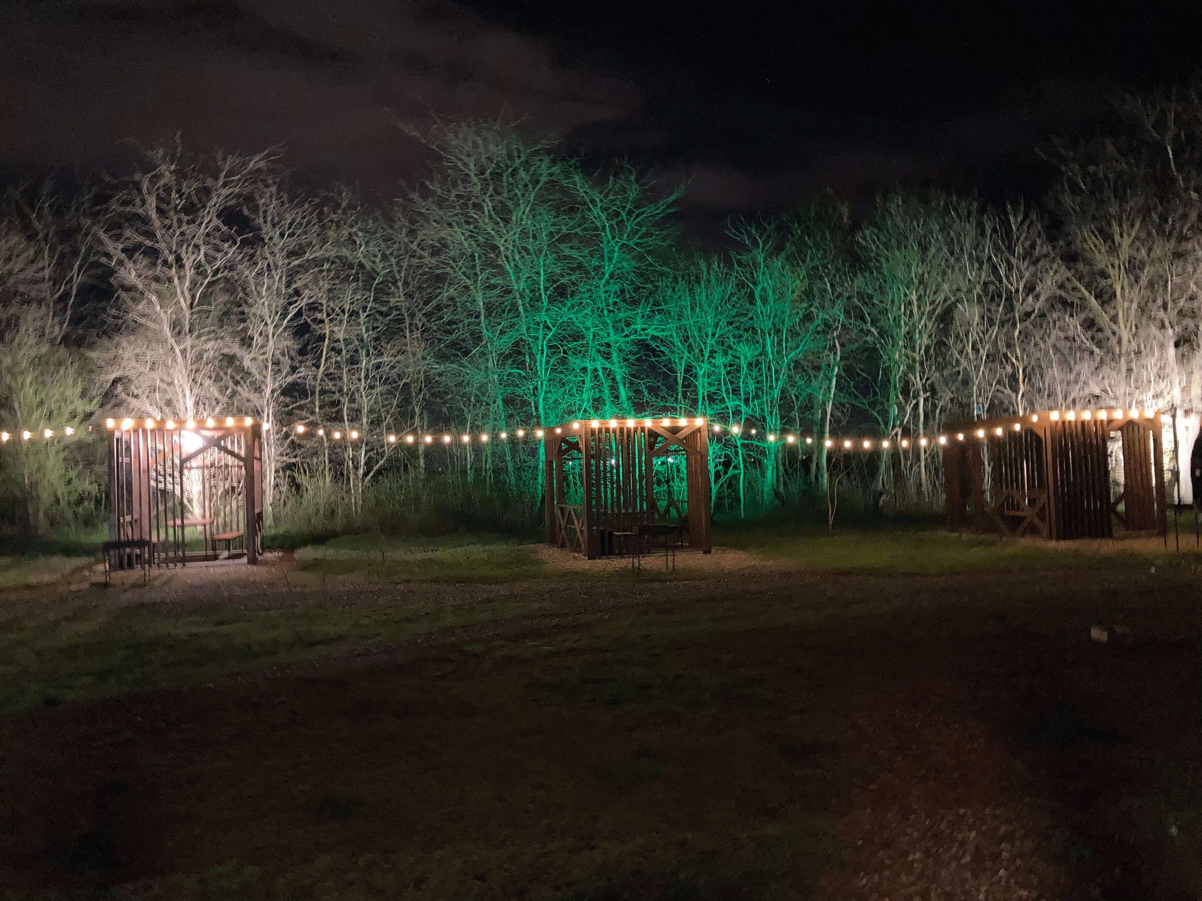 Фото Пруд Пруди