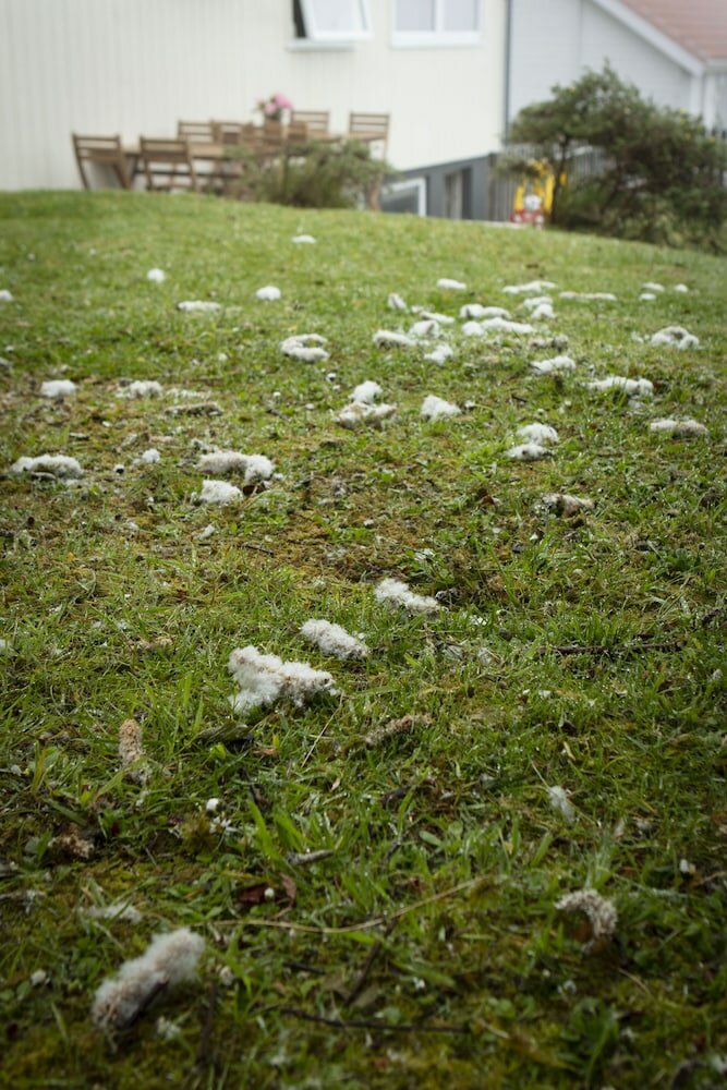Фото Mørk Apartments