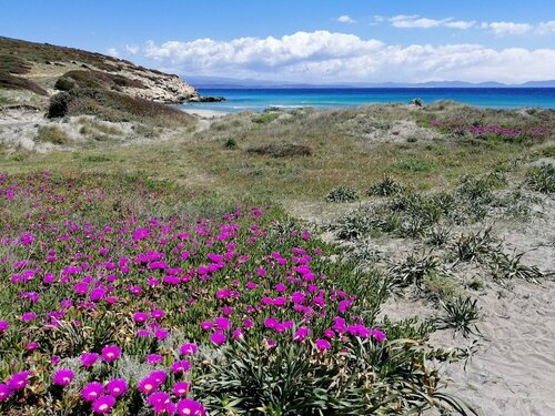 Гостиница B&b Semaforo di Capo Sperone