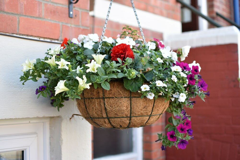 Фото Kenways Guest House