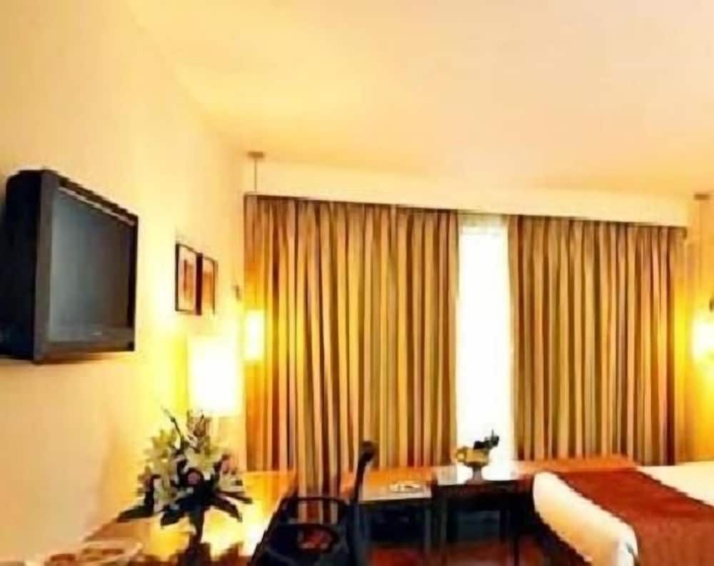 Фото Hotel Paradise