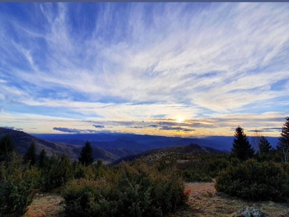 Фото Nicole Kopaonik