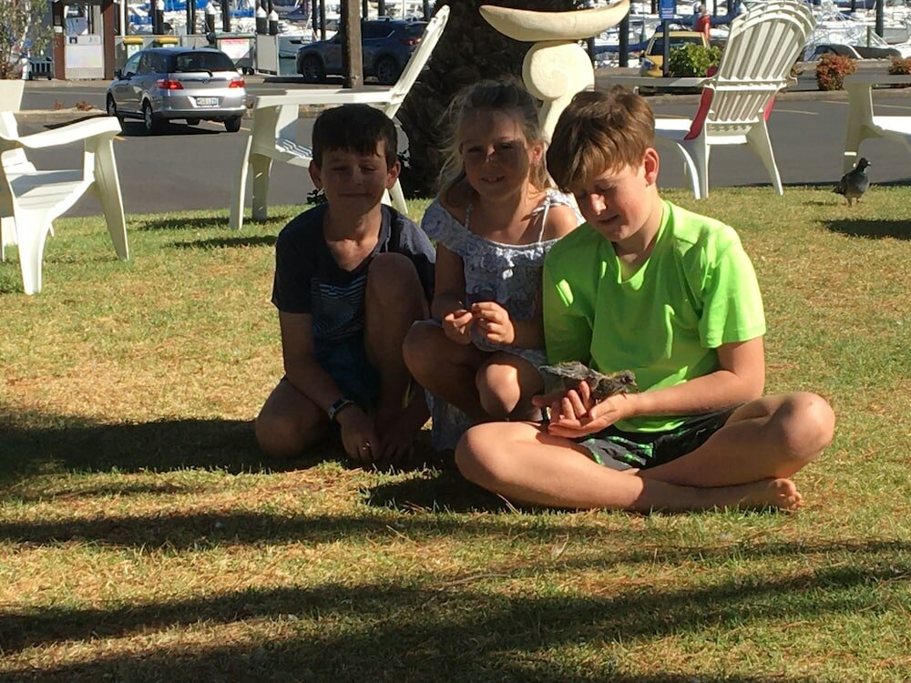 Фото Half Moon Bay Motel