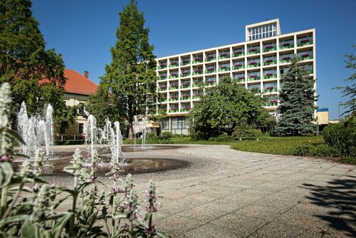 Гостиница Aranyhomok Business-City-Wellness Hotel в Кечкемете