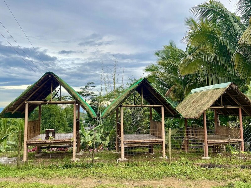 Гостиница Felcordz Nature Farm and Resort