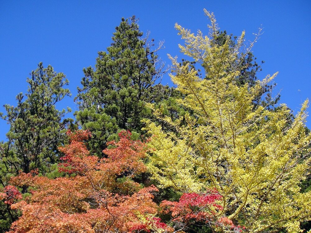 Фото Riverside Hostel B&b – Hostel