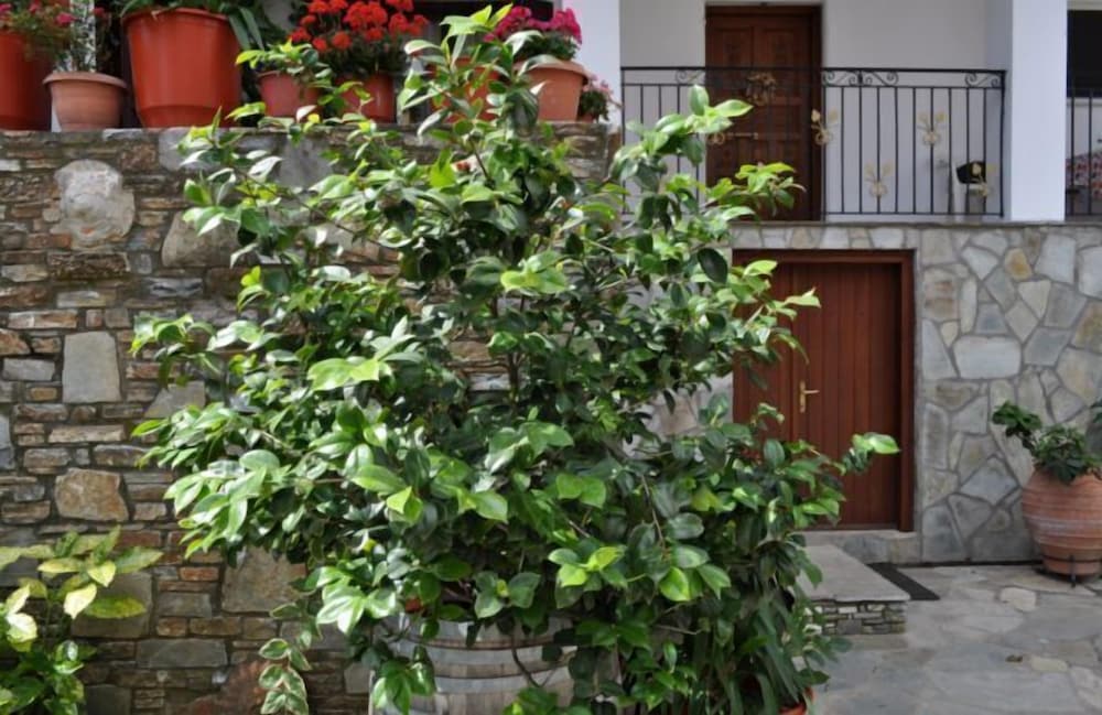 Фото Marika Vlachou