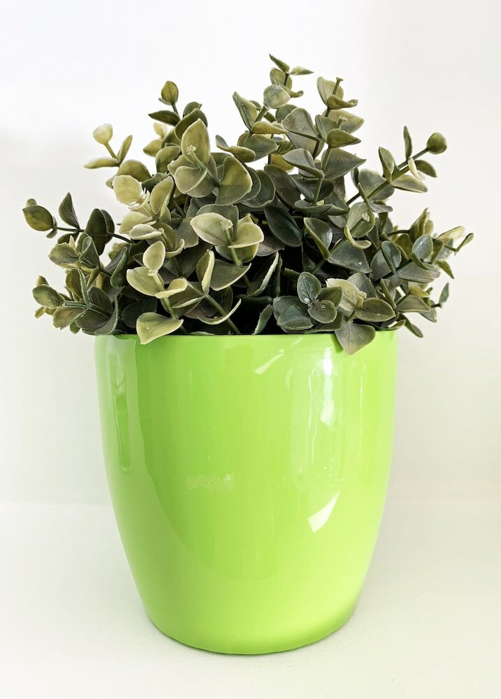 Фото Rainbow Apartments