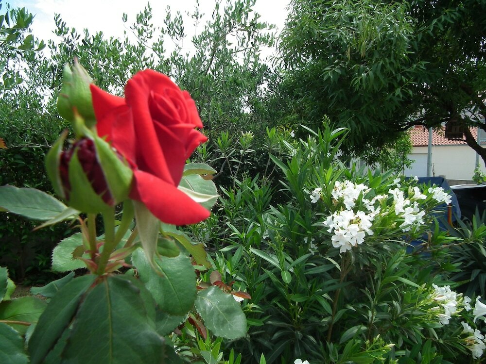 Фото Villa Jadranka Privlaka