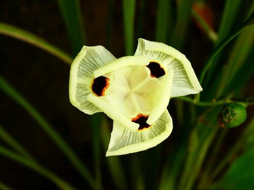 Гостиница Utamaduni House в Аруше