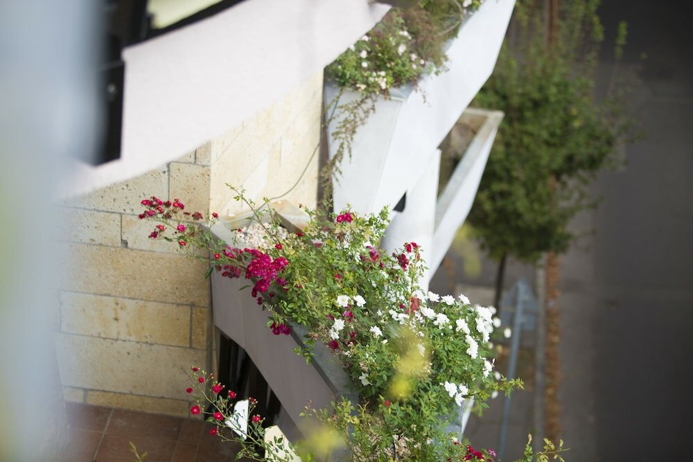 Фото Semiramis Business Hotel