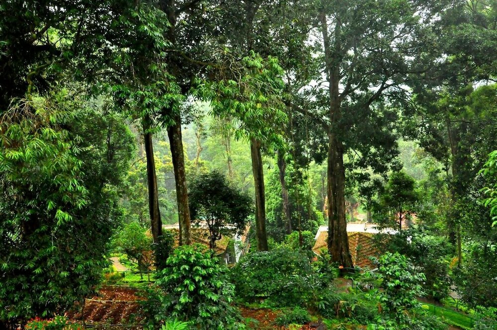 Фото The Tall Trees Munnar