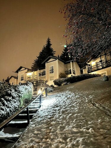 Гостиница Aldea Andina Hotel & SPA