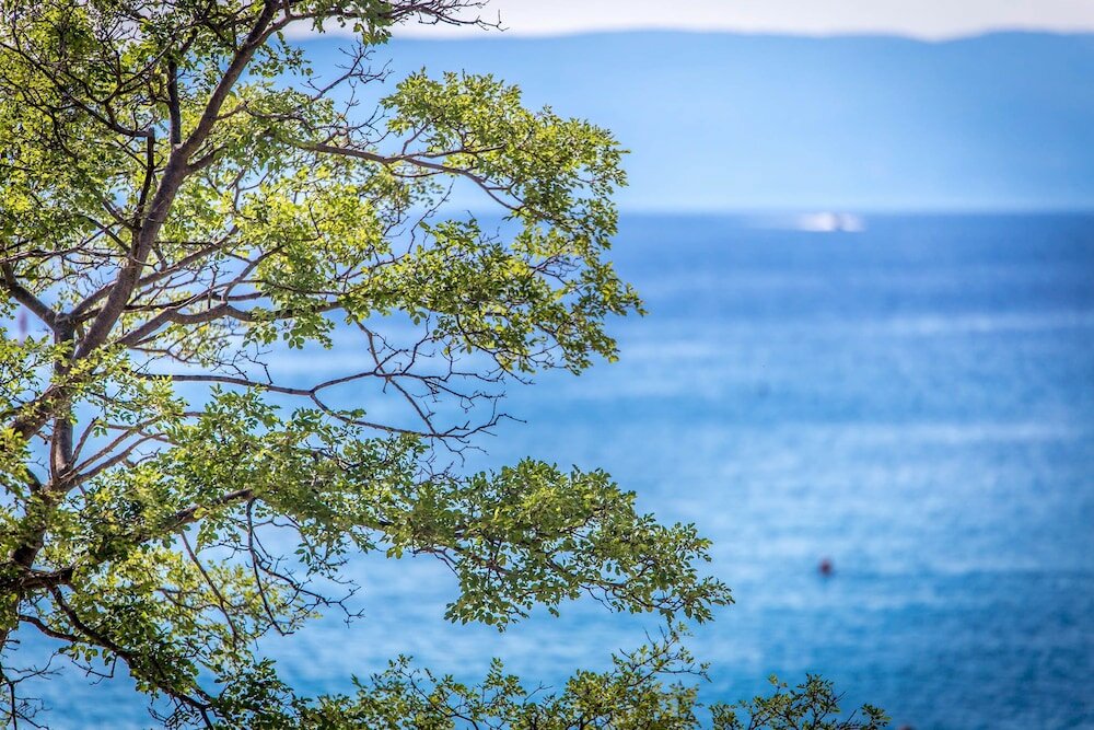Фото Apartments Bogović