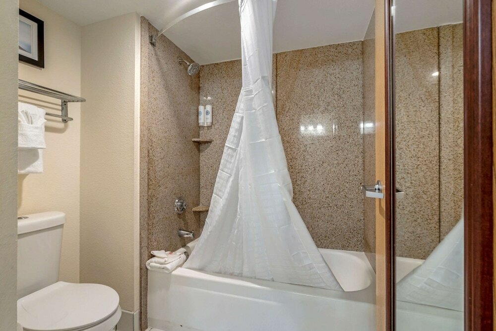 Фото Comfort Inn Kissimmee-Lake Buena Vista South