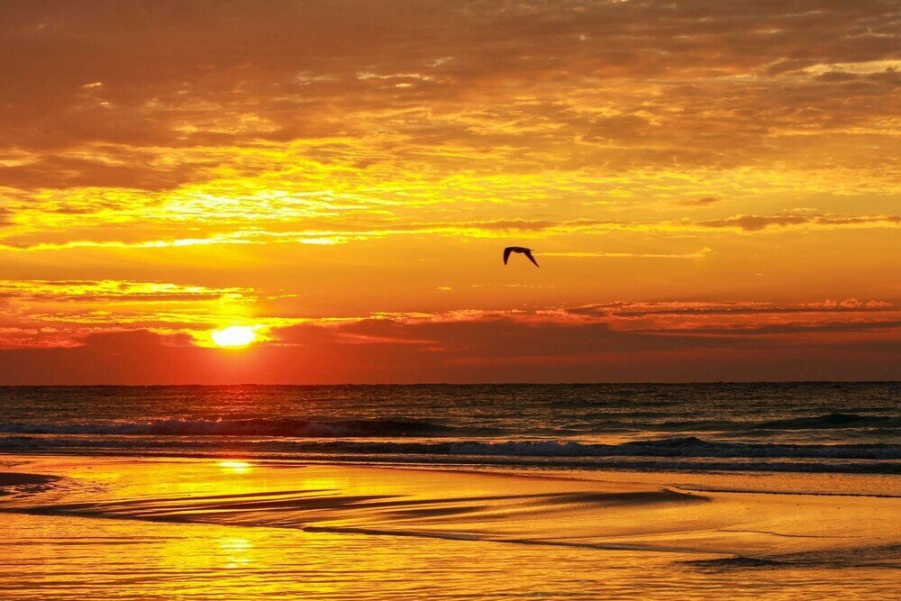 Фото Edgewater Beach Resort Tower 3- 811