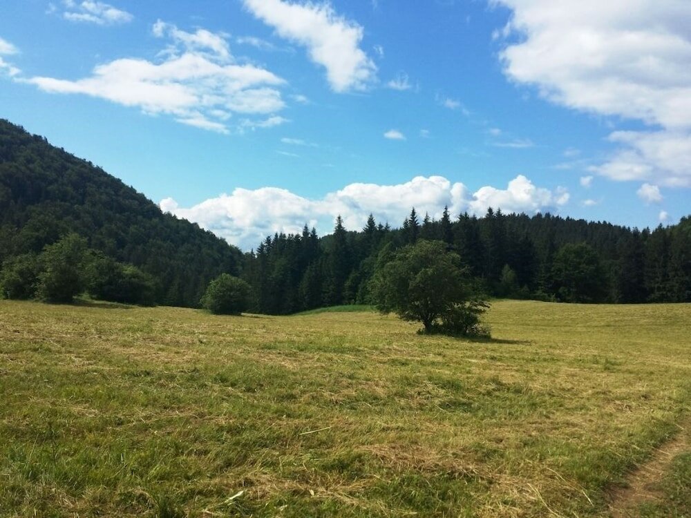 Фото Ski-Lake Cottage Nízke Tatry