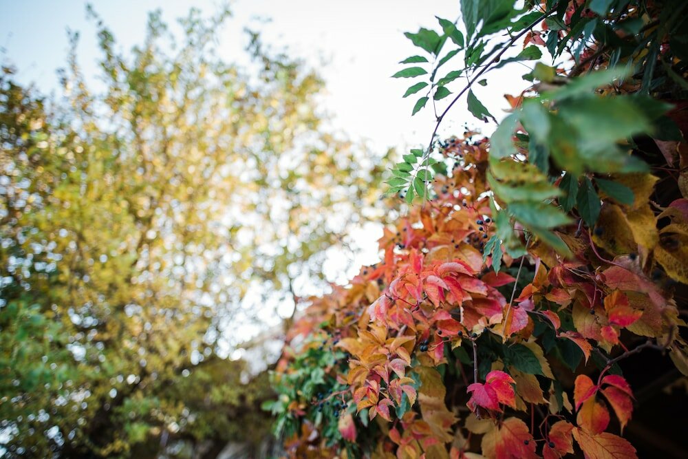 Фото Traditional Luxury Villa Armonia