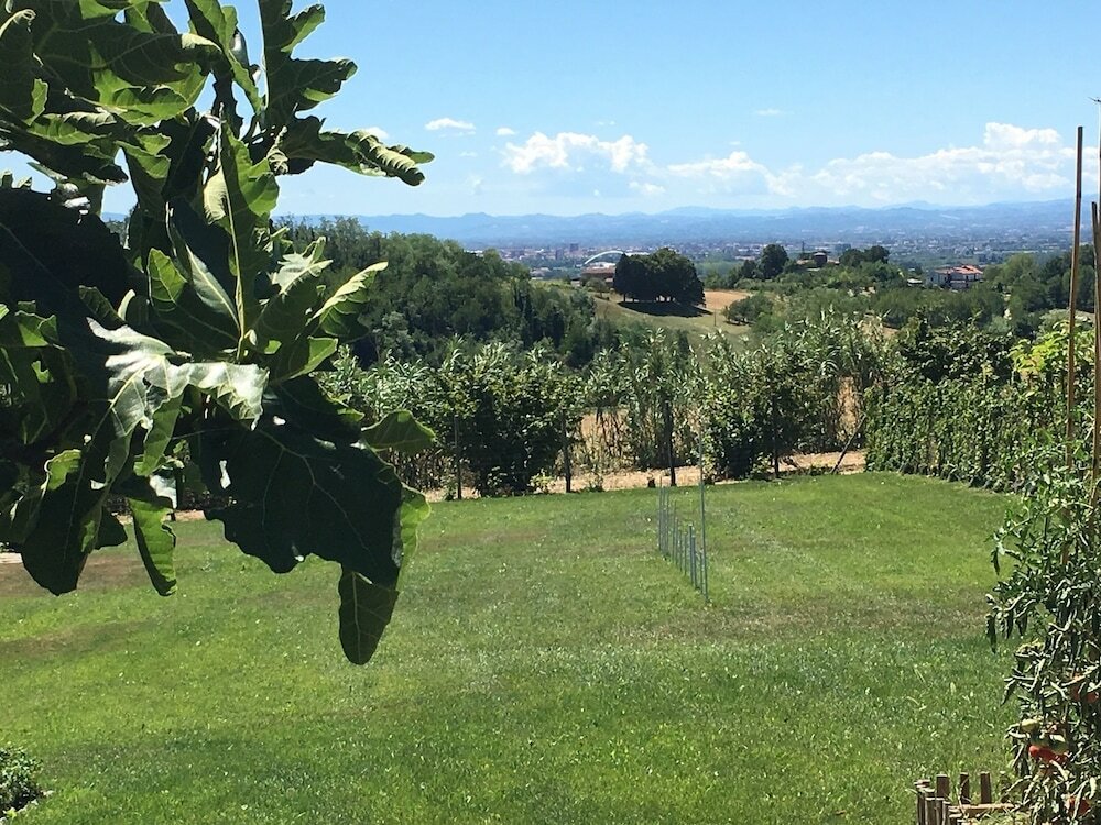 Фото B&b Le Piote