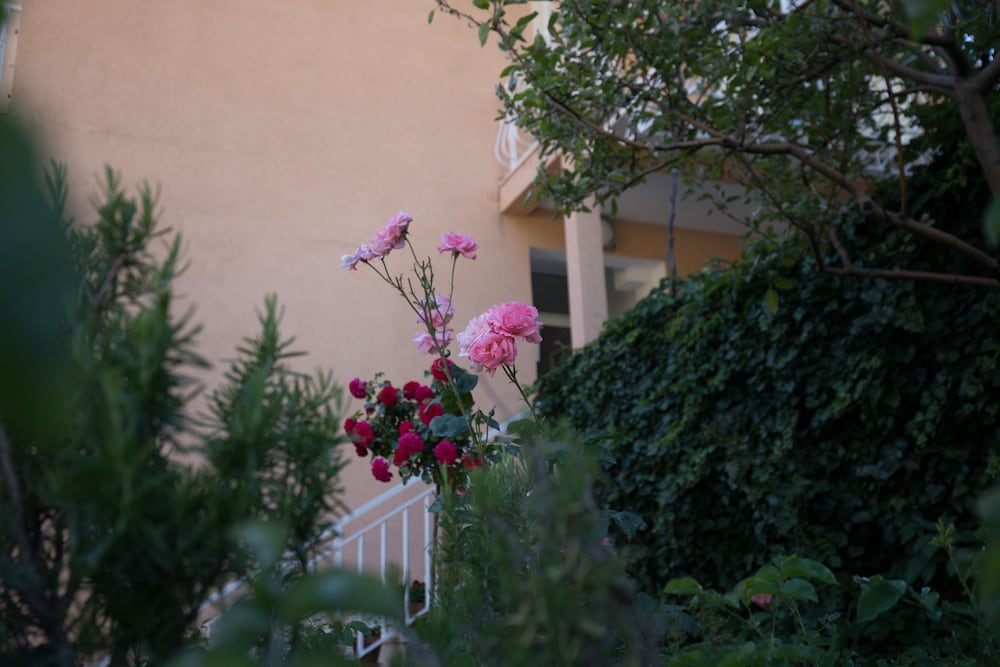 Фото Villa Dubravka